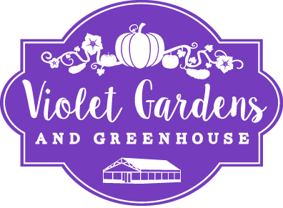 Violet Gardens & Greenhouse